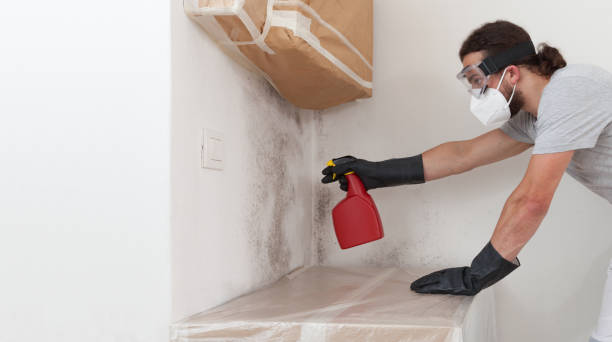 Professional Mold Remediation technician working in Fairview, NC