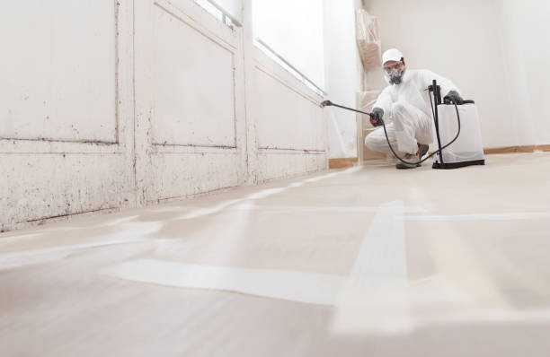 24/7 Emergency Mold Remediation experts in Fairview, NC