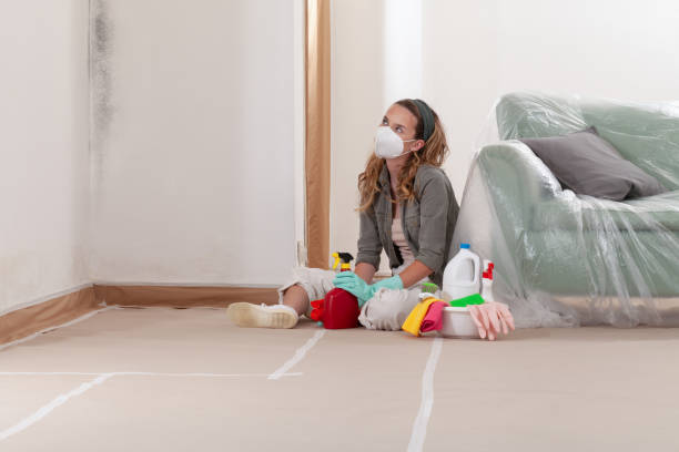 Reliable Mold Remediation contractor in Fairview, NC by Cheap Mold Removal